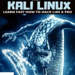 Sách Ethical Hacking With Kali Linux Learn Fast How To Hack Like A Pro