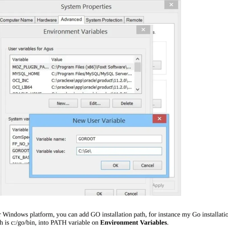 Sách Go Programming by Example