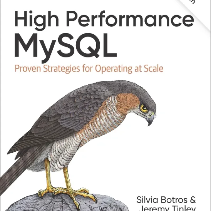 Sách High Performance MySQL Proven Strategies for Operating at Scale, 4th Edition - Hanoi Bookstore