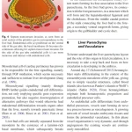 Sách Imaging of the Liver and Intra-hepatic Biliary Tract Volume 1