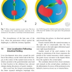 Sách Imaging of the Liver and Intra-hepatic Biliary Tract Volume 1