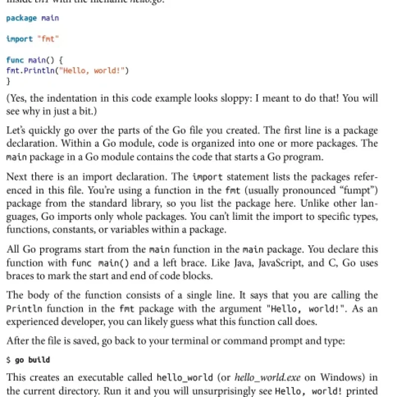 Sách Learning Go An Idiomatic Approach to Real-world Go Programming, 2nd Edition