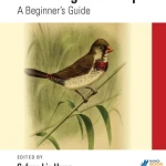 Sách Mastering Bootstrap A Beginners Guide