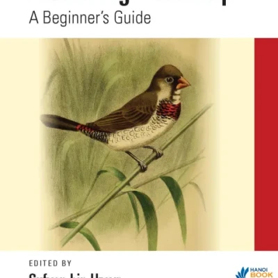 Sách Mastering Bootstrap A Beginners Guide