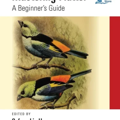 Sách Mastering Flutter A Beginners Guide