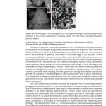 Sách Nanomaterials for Chemical Engineering