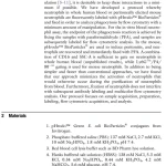 Sách Phagocytosis and Phagosomes 2nd Edition