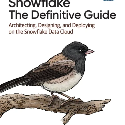 Sách Snowflake The Definitive Guide Architecting, Designing, and Deploying on the Snowflake Data Cloud