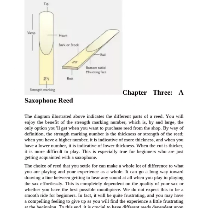 Saxophone for Beginners