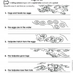 SCHOLASTIC SUCCESS WITH WRITING 1-5 (Sách đen trắng)