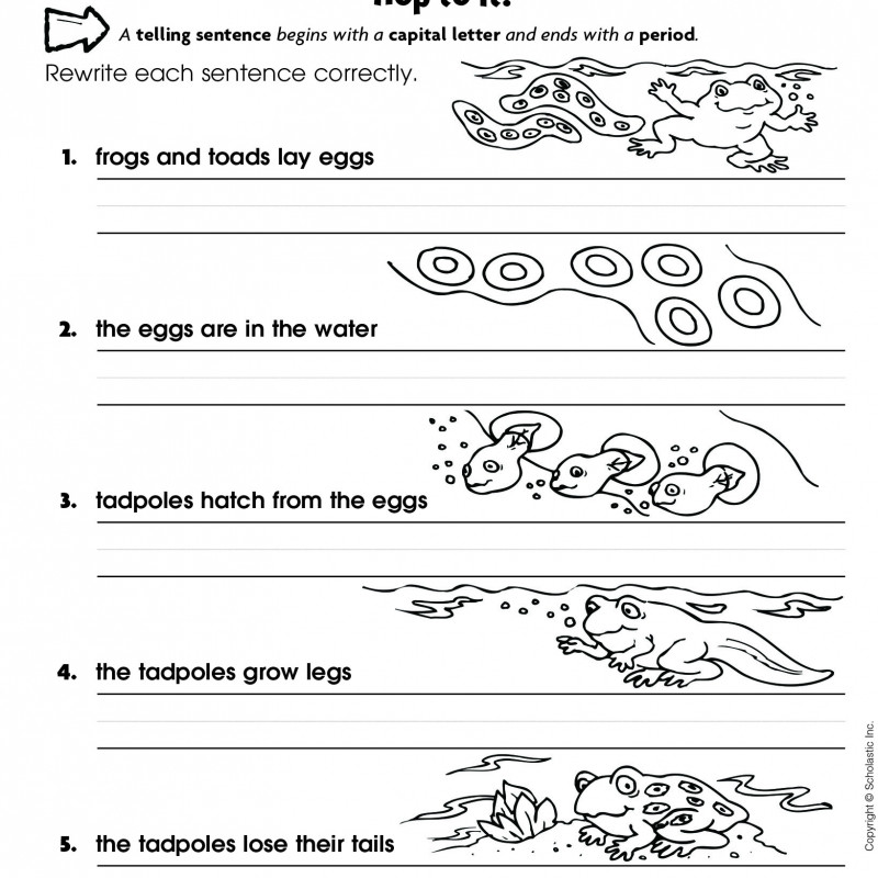 SCHOLASTIC SUCCESS WITH WRITING 1-5 (Sách đen trắng)