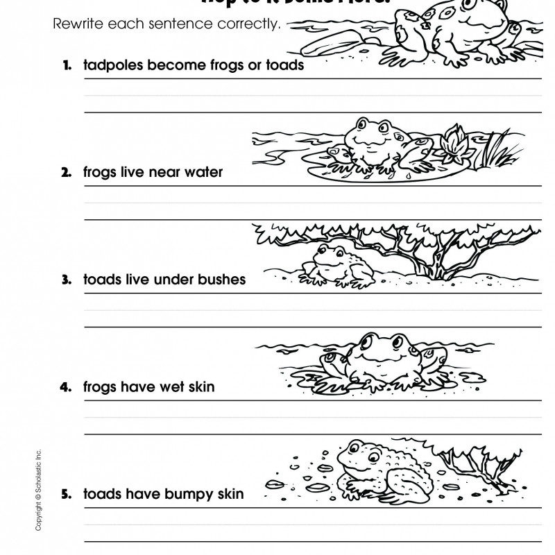 SCHOLASTIC SUCCESS WITH WRITING 1-5 (Sách đen trắng)