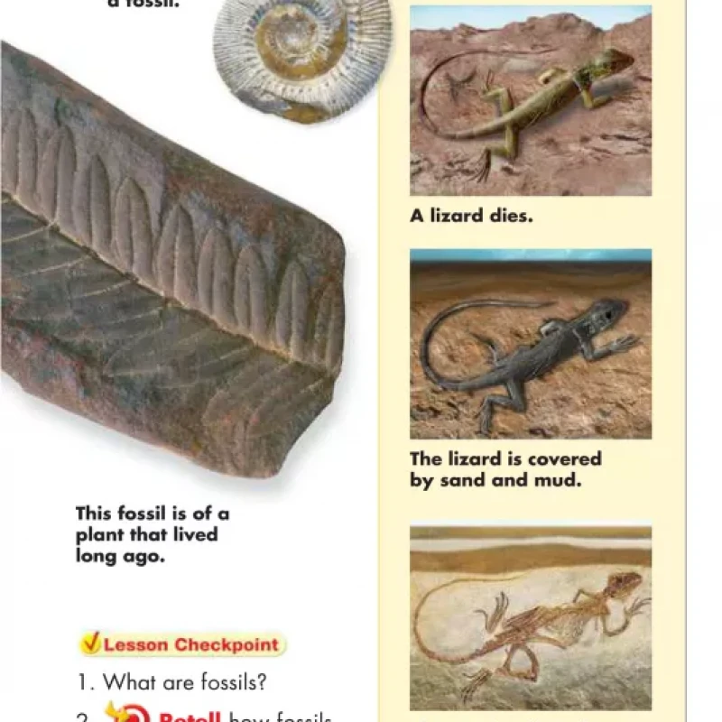Science 2 - Textbook - Semester 2 (Sách màu)