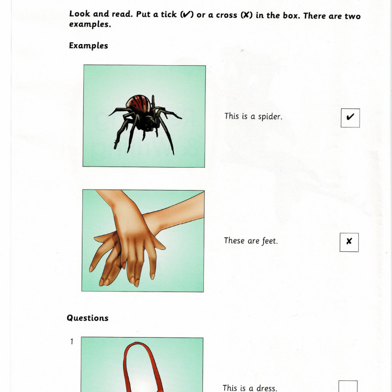 SKILL BUIDER 2 STARTERS STUDENT'S BOOK (Sách màu)