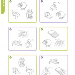 Smart Phonics 2 (Sách màu)