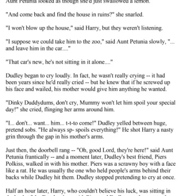 Sorcerer's Stone or Philosopher'stone (sách đen trắng)