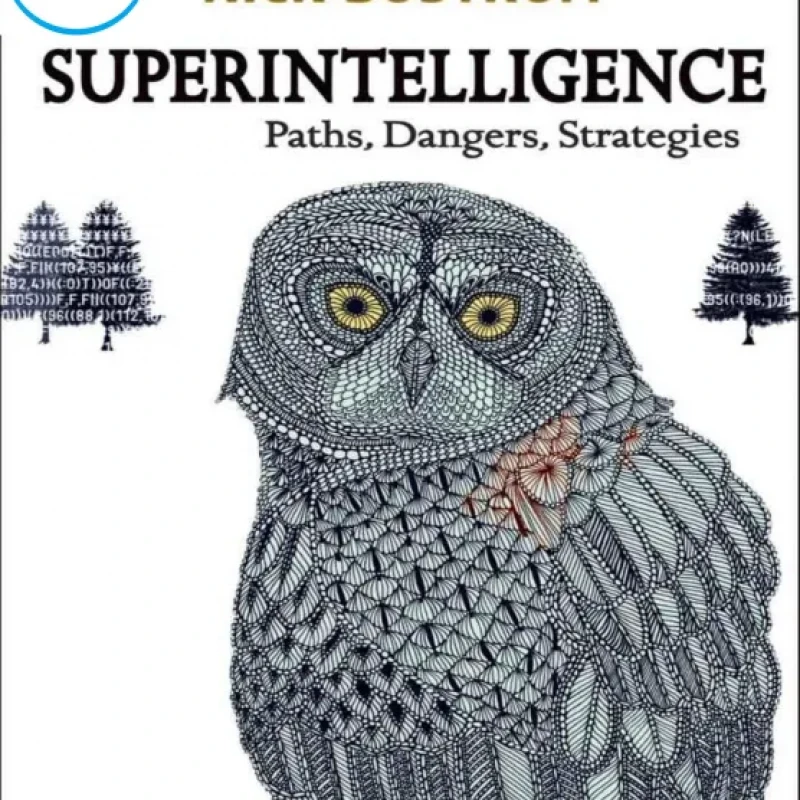Superintelligence Paths, Dangers, Strategies
