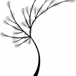 The Art of Computer Programming Volume 1 Fundamental Algorithms, 3rd Edition